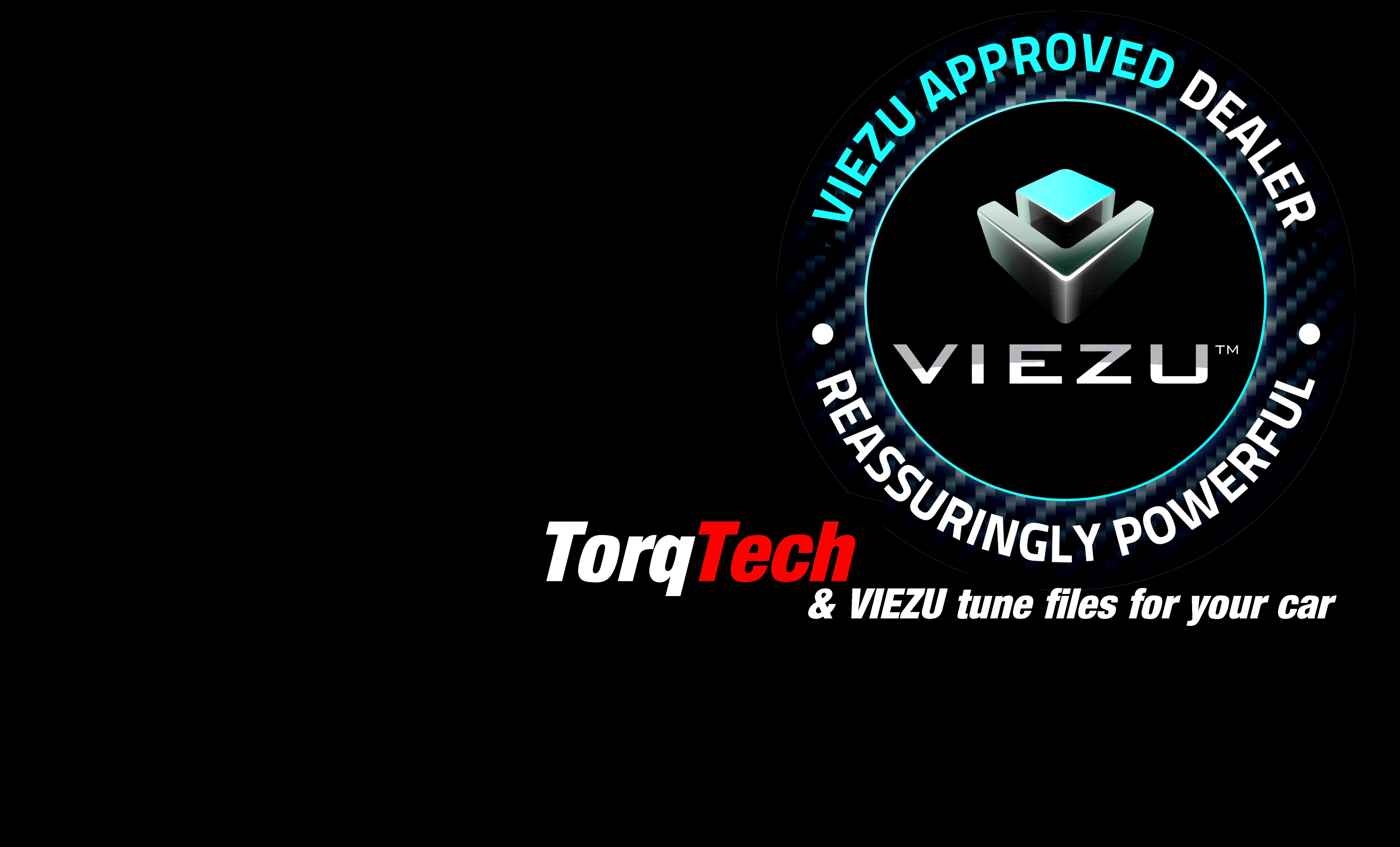 TorqTech utilizes the power of Viezu to provide unsurpassed results with a money back guarantee