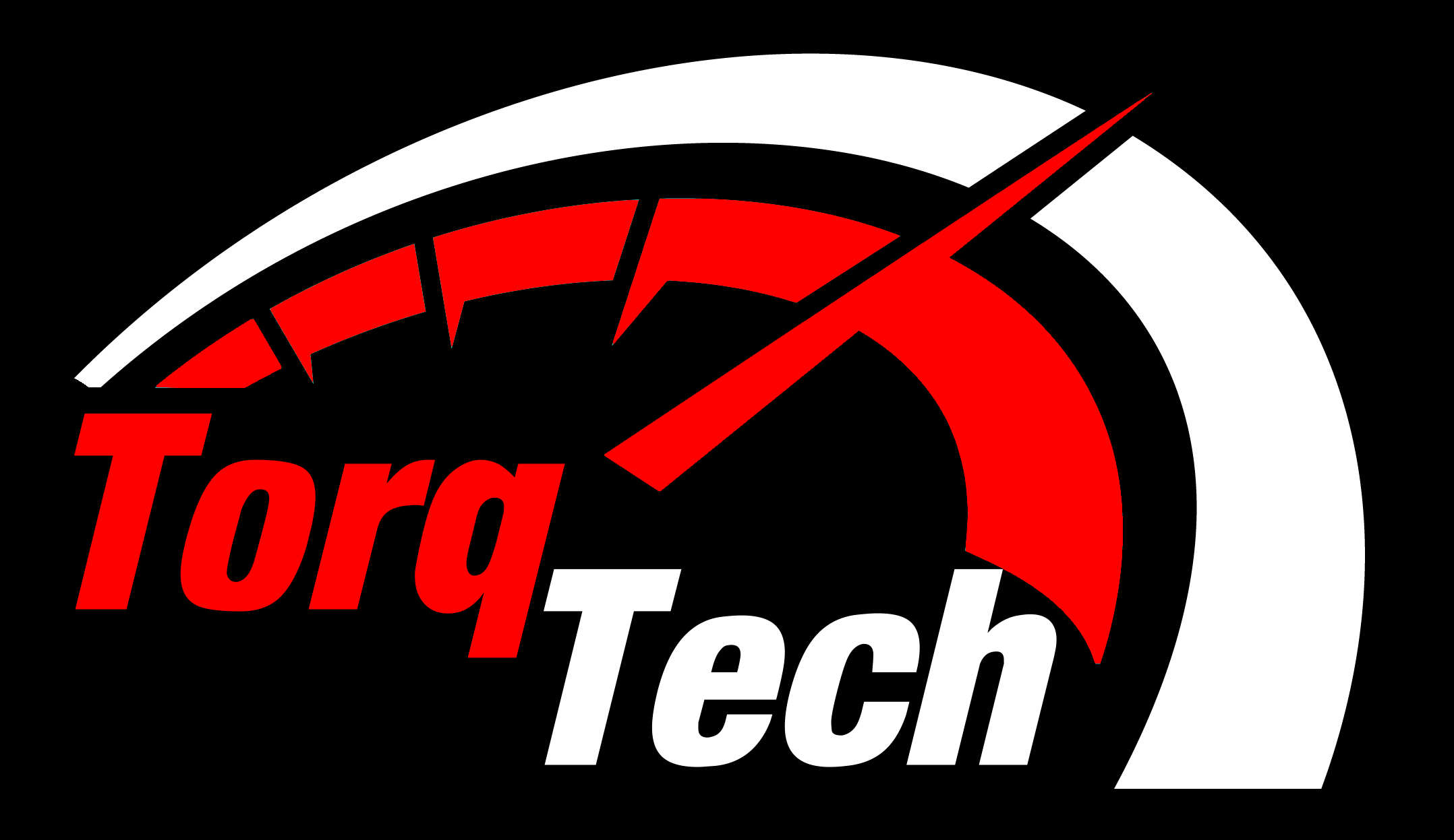 TorqTech Best In Class Tuning<br/>  Mobile Tuning Service